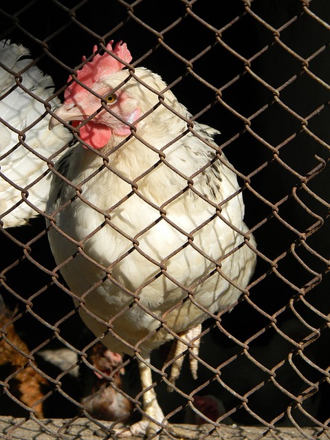 尤其是一些 尤其是一些