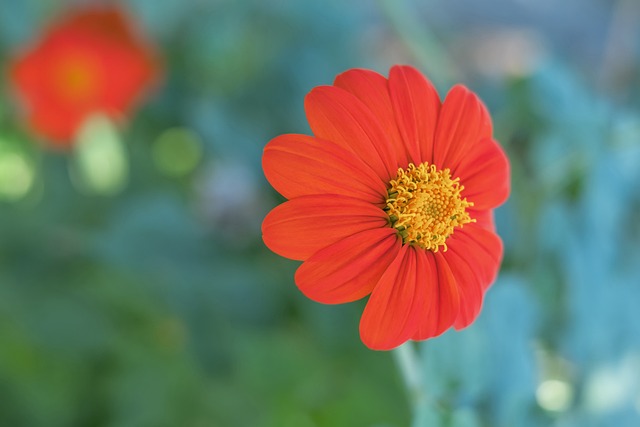 策略与个人 策略与个人