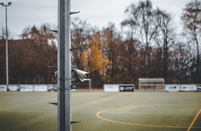 这种体验不 这种体验不