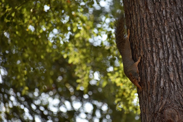 最终损失的 最终损失的