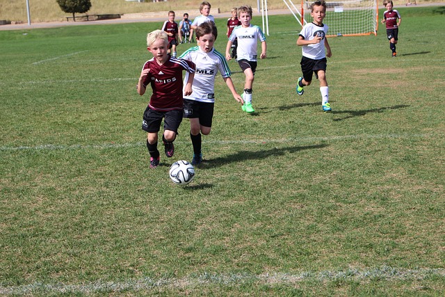 這些年輕球 這些年輕球