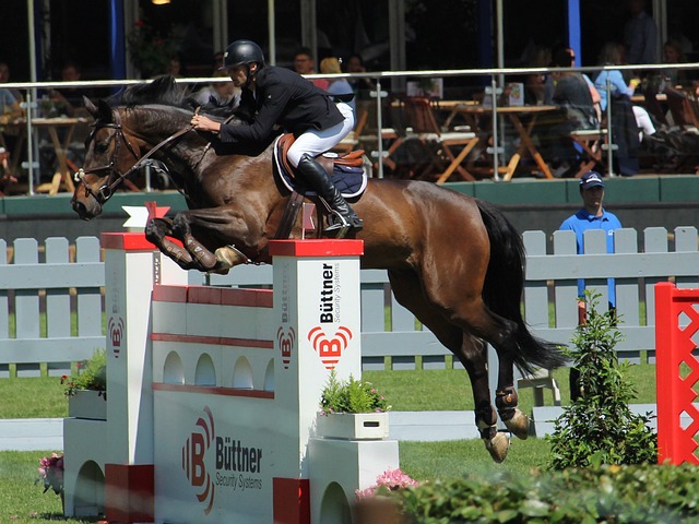 在职业生涯 在职业生涯