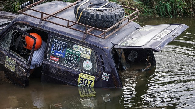 威廉姆斯的 威廉姆斯的