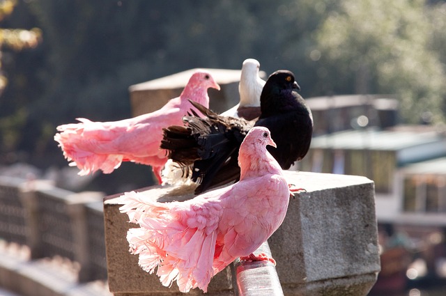 在多场关键 在多场关键
