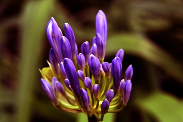 的守门技术 的守门技术