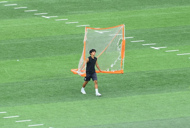 综上所述 综上所述