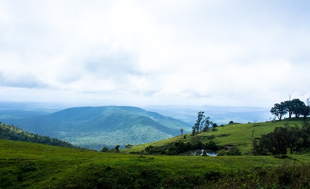 随机性不仅 随机性不仅
