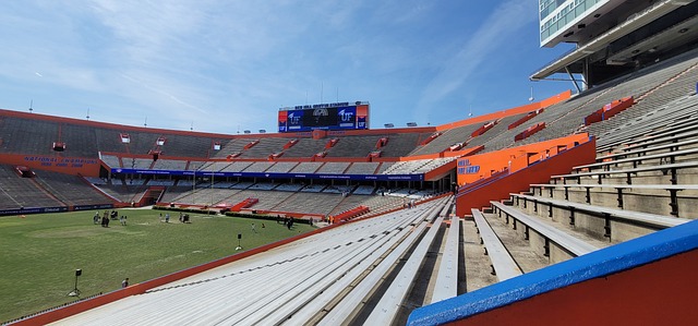 魅力与全队 魅力与全队