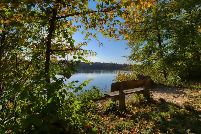 战术上的不 战术上的不