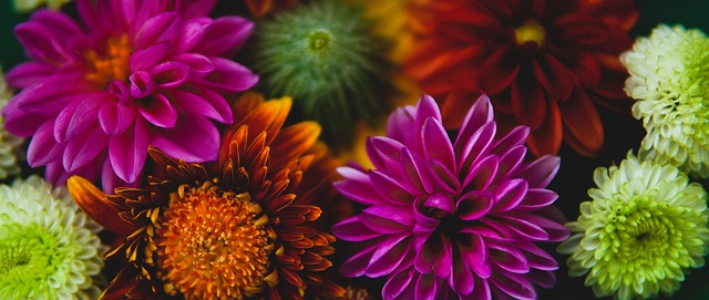 个人与集体 个人与集体