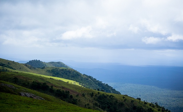 杨毅此前认 杨毅此前认