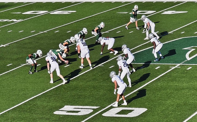 友好的見面 友好的見面