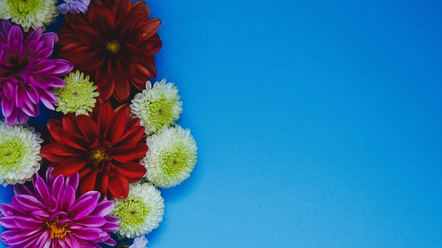 赛的长远目 赛的长远目