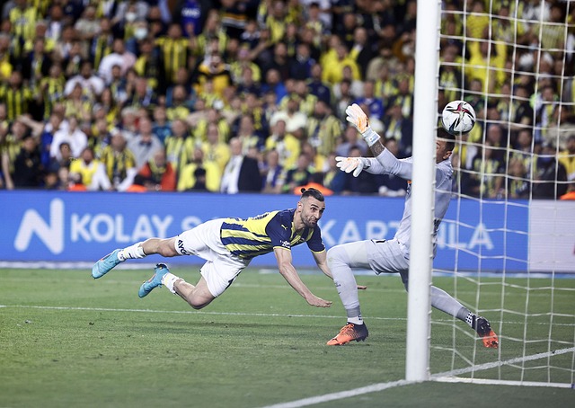 全球连线｜印尼留学生林家宏在甘肃环县感受道情皮影戏的魅力.