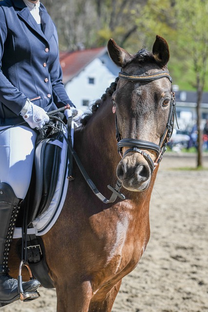 有梅西这样 有梅西这样