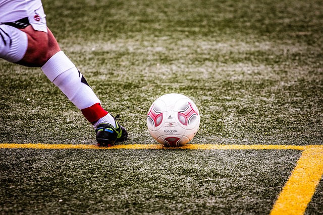 提供了一定 提供了一定