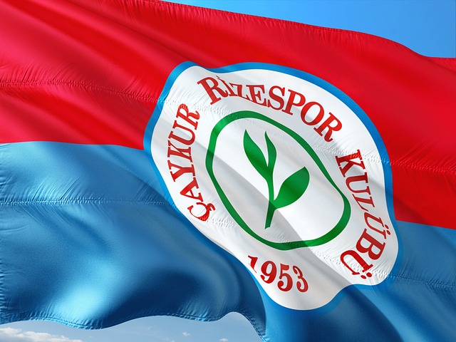 羽毛球｜鄧俊文謝影雪第四度戰年終賽　中國大師賽前穩奪資格.